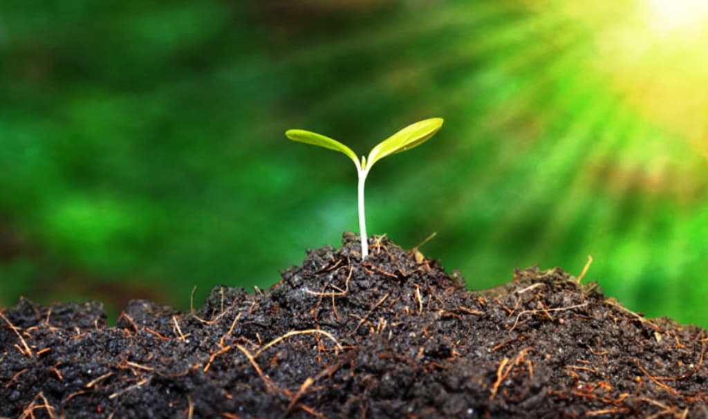 Natural Farming