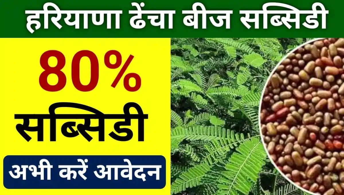 Registration for Dhaincha Seed in Haryana